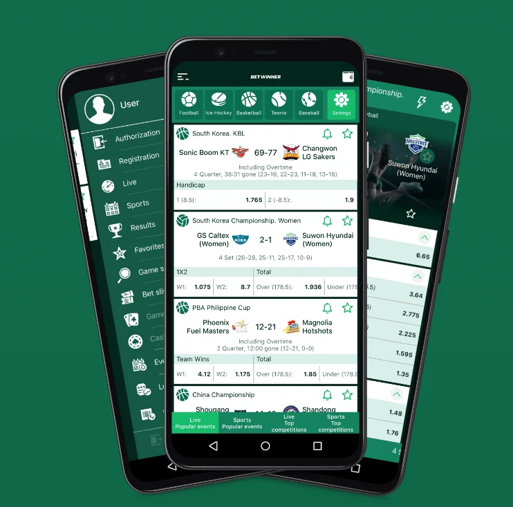 plataforma betwinner