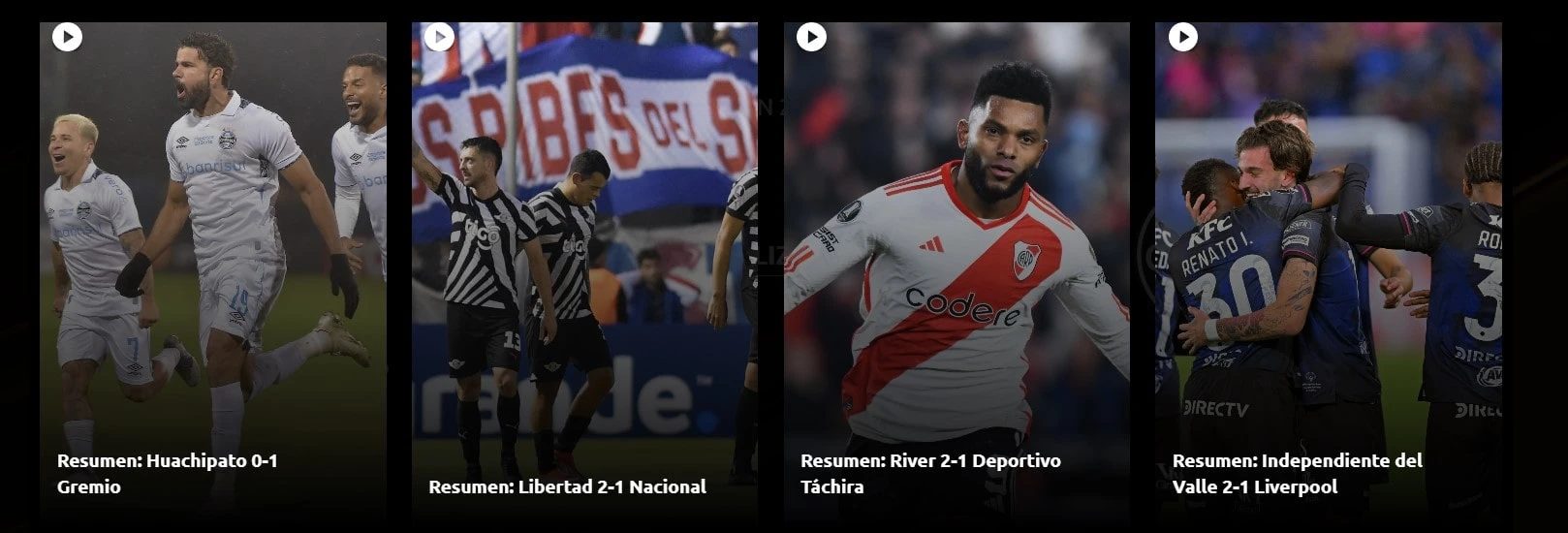 libertadores